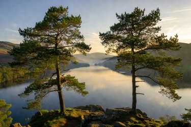 Friars Crag promontory shaded by Scots pines in Keswick Lake District