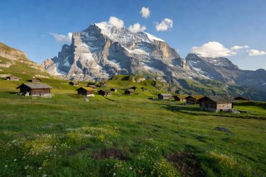 Lush alpine meadows beneath the north face of the Wetterhorn in Grindelwald